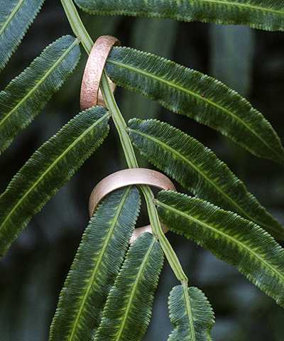 Goldene Trauringe an einer Pflanze mit grünen Blättern
